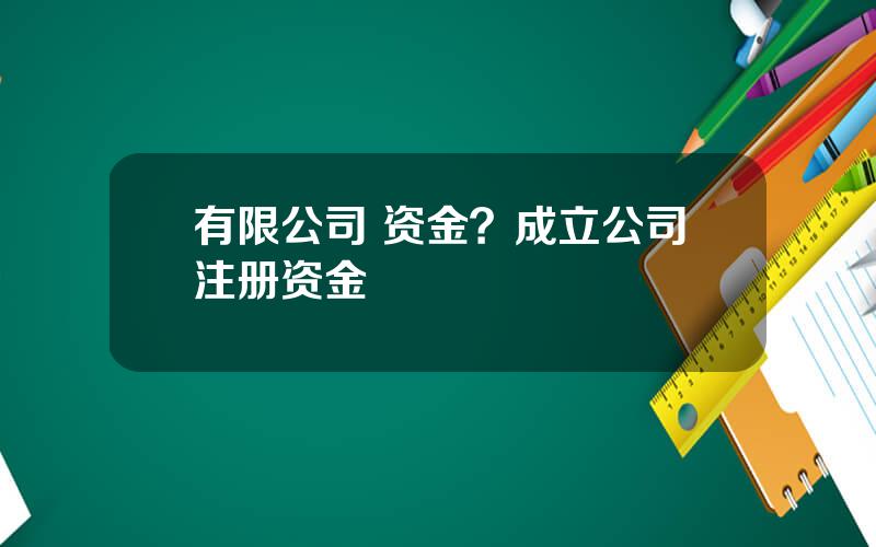 有限公司 资金？成立公司注册资金